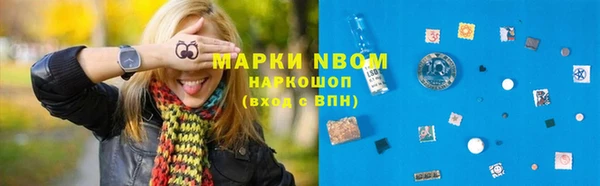 сатива Аркадак