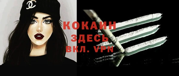 сатива Аркадак