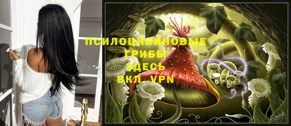 меф Арсеньев