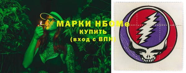 сатива Аркадак