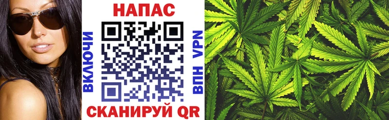 Бошки Шишки планчик  Мамоново 